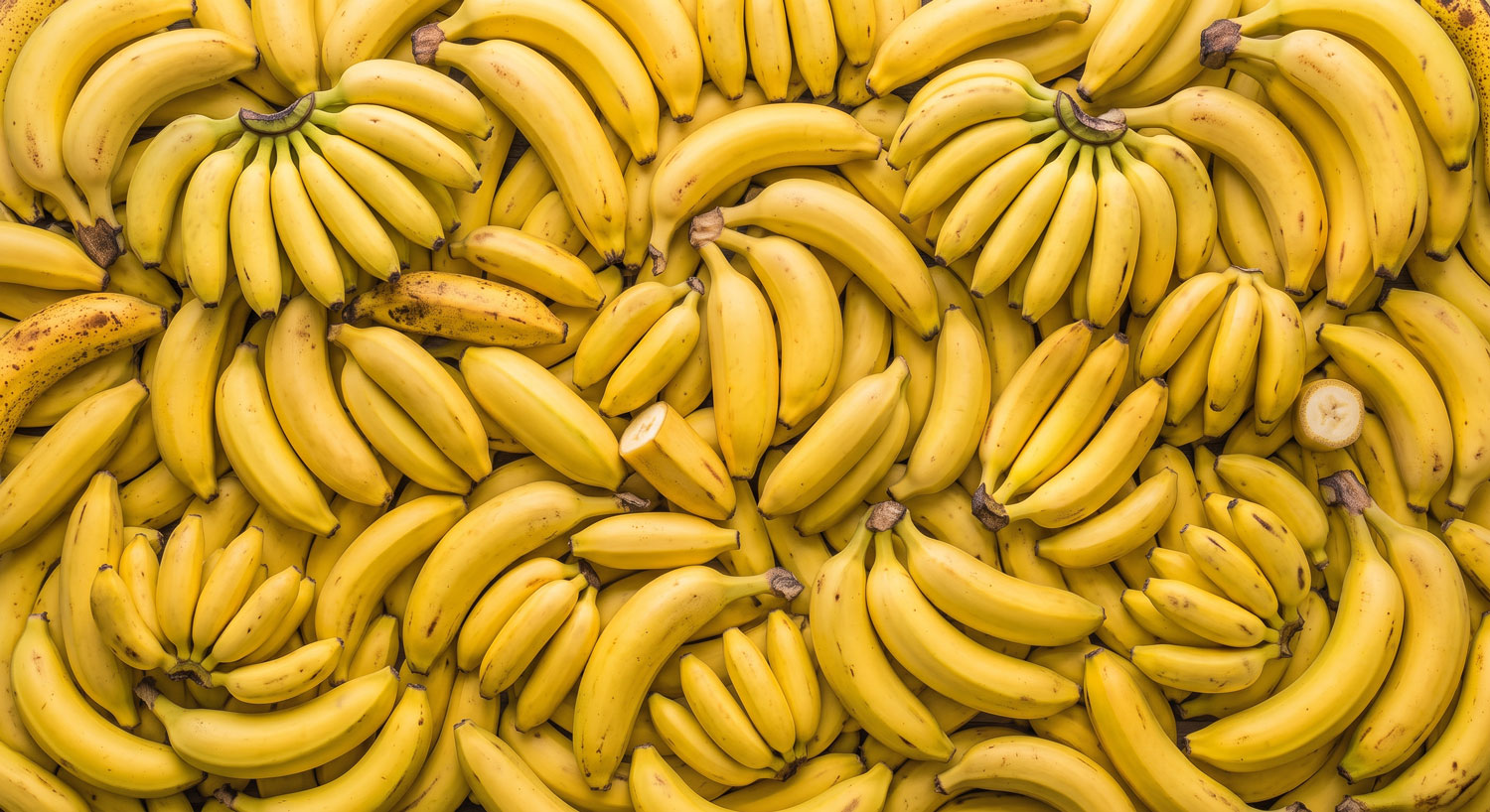 Fresh, ripe bananas