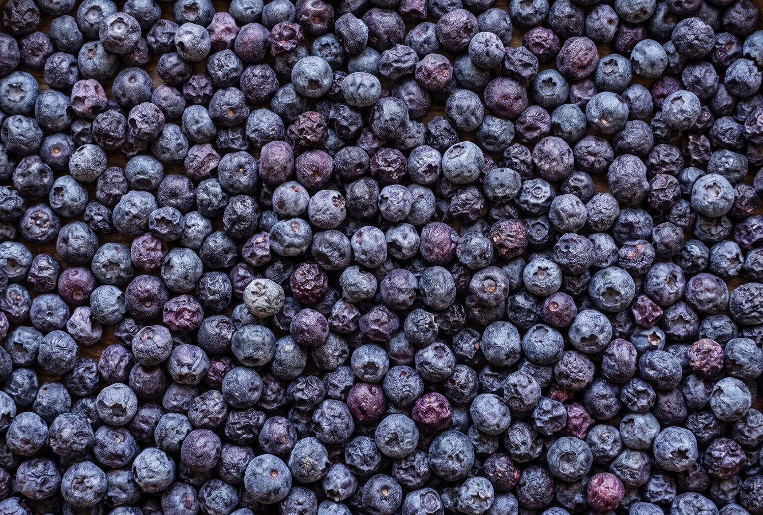 Freeze-dried blueberries, whole