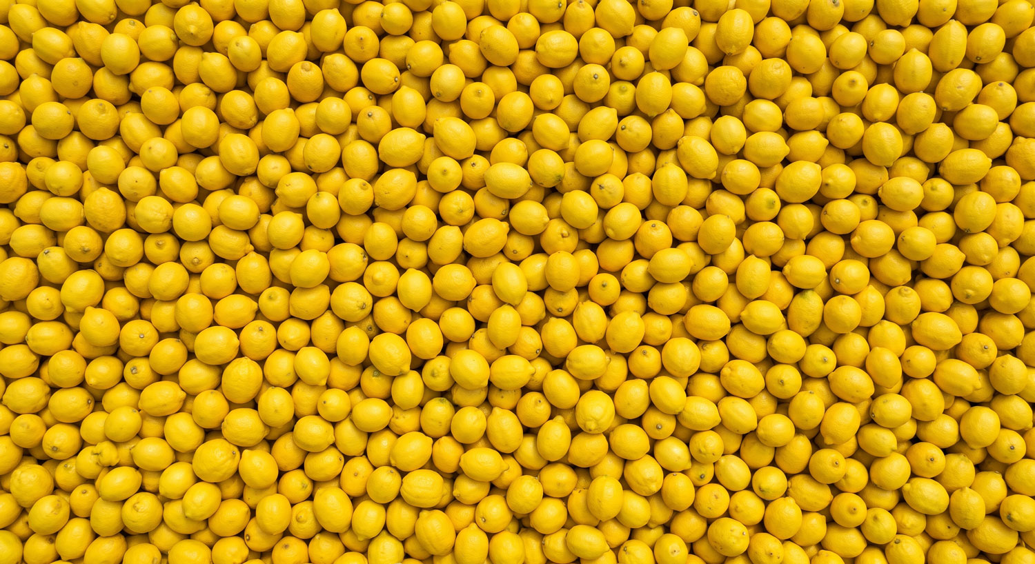 Fresh, ripe lemon