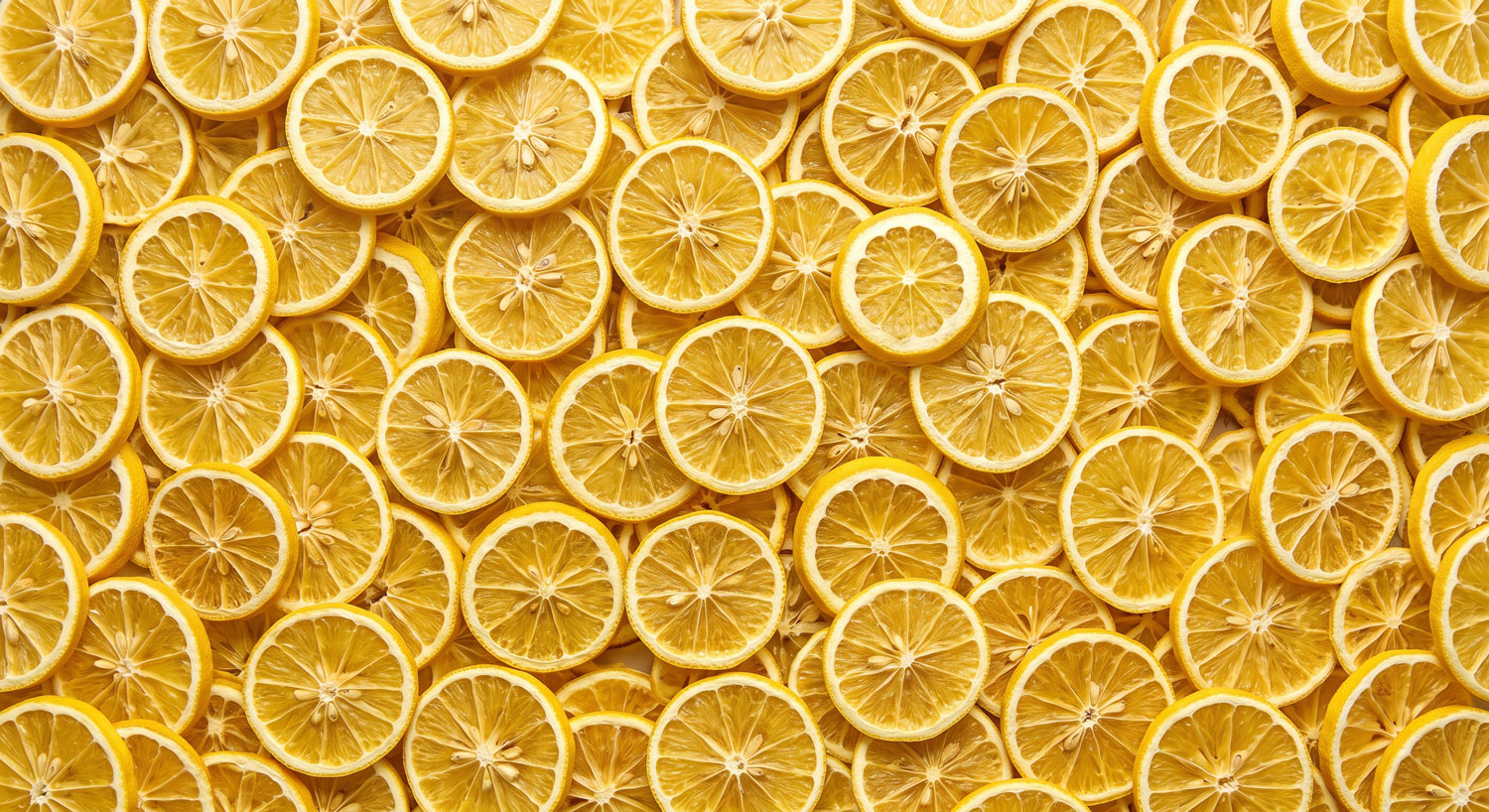 Freeze-dried lemon, sliced