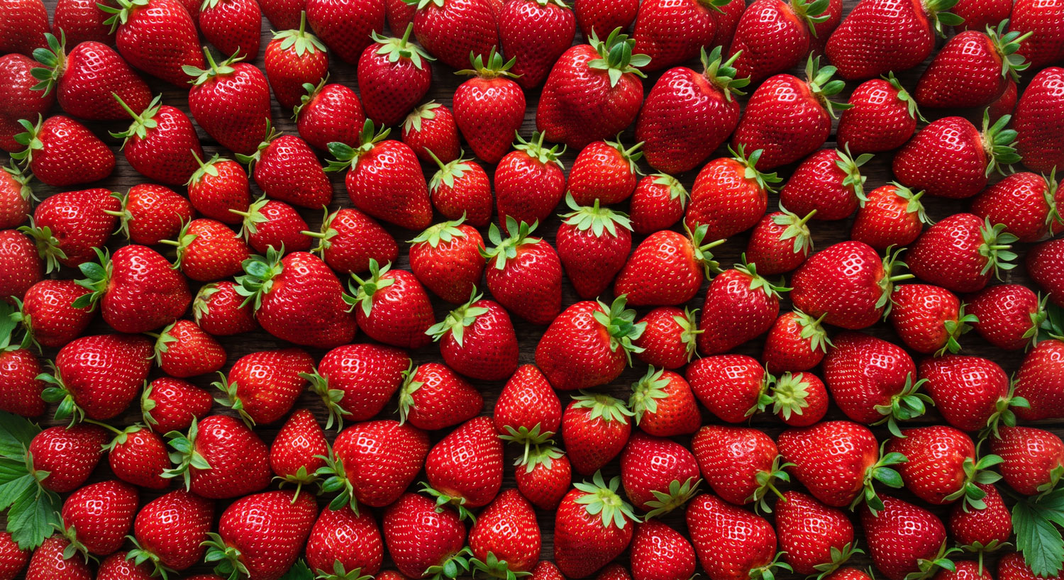 Fresh, ripe strawberries